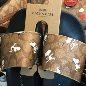 coach snoopy slides